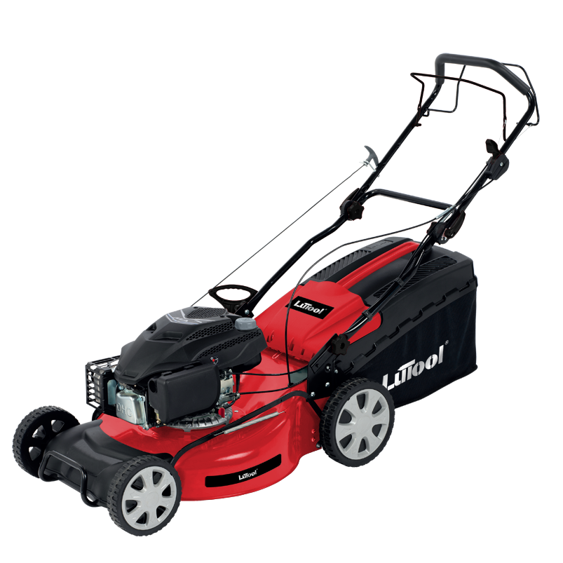LT8T206